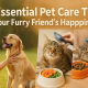 Pet Care Tips