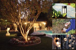 Outdoor Solar Garden Lights