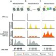 How-to-Identify-Gene-Promoters-and-Enhancers-by-ChIP-Seq-1