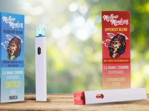 dab pen vs cart