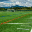 Understanding the Real Cost of Football Turf in 2025