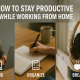 How to Stay Productive While Working from Home