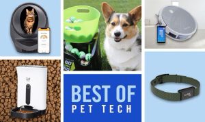 Smart Pet Gadgets 2025