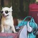pet sling carriers for dogs