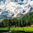 hunza fairy meadows