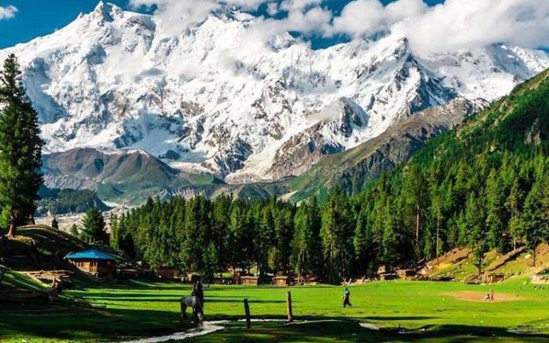 hunza fairy meadows