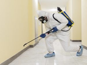 Pest Control SEO Experts