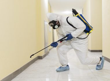 Pest Control SEO Experts