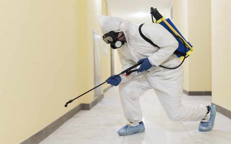 Pest Control SEO Experts