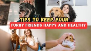 Pet Care Tips