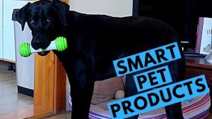 Smart Pet Gadgets 2025