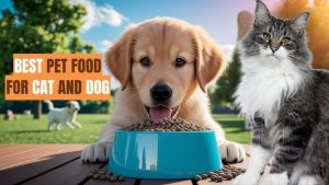 Pet Nutrition Plans for Dogs and Cats 2025