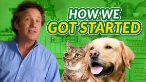 Pet Nutrition Plans for Dogs and Cats 2025