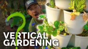 Urban Farm Vertical Garden Ideas