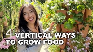 Urban Farm Vertical Garden Ideas