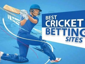 How to Choose the Best Cricket Betting Website in India