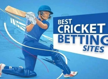 How to Choose the Best Cricket Betting Website in India