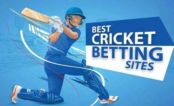 How to Choose the Best Cricket Betting Website in India
