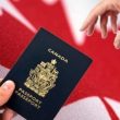 Immigration Consultants