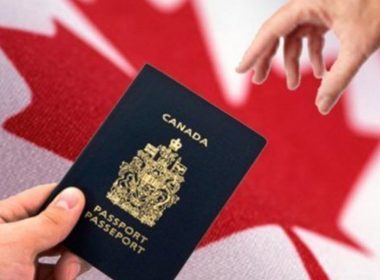 Immigration Consultants