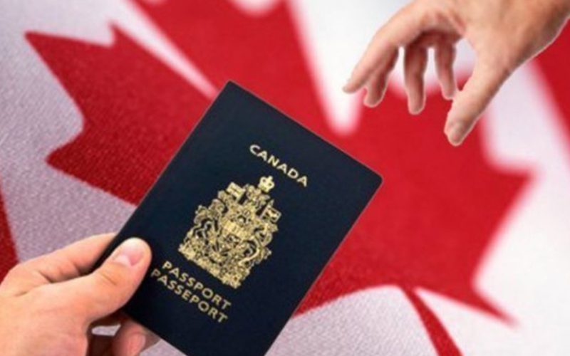 Immigration Consultants