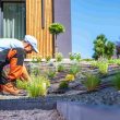 landscape design