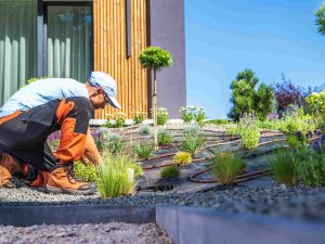 landscape design