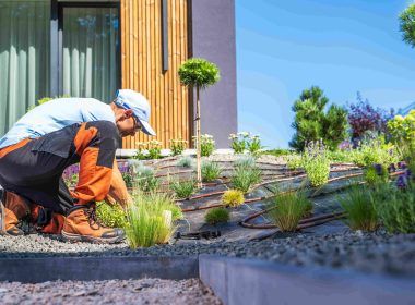 landscape design