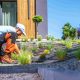 landscape design