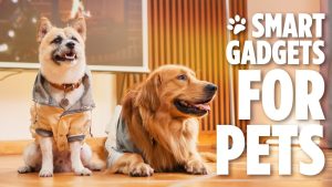 Smart Pet Gadgets 2025