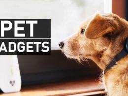 Smart Pet Gadgets 2025