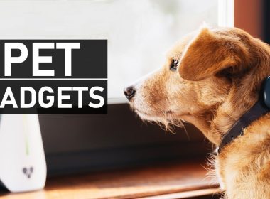 Smart Pet Gadgets 2025