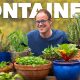 Indoor Planters and Herb Pots Vego Garden