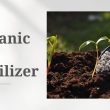 organic npk fertilizer