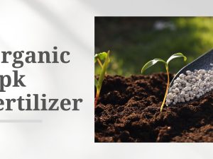 organic npk fertilizer