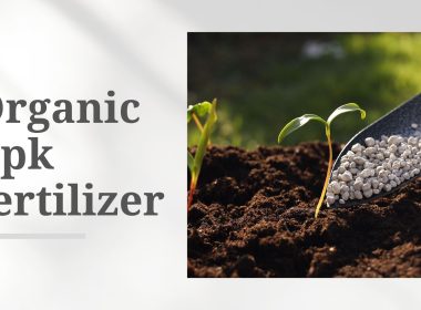 organic npk fertilizer