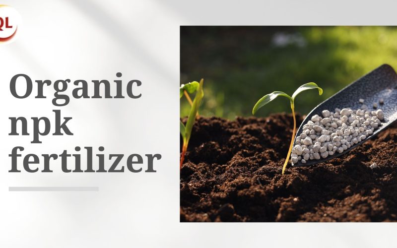organic npk fertilizer