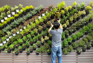 Indoor Vertical Garden Designs for Year-Round Harvest