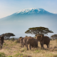 Why Kenya Tour Package Are Perfect for Nature Lovers
