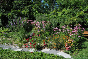 Rustic Farmhouse Gardening Trends You Need to Embrace 2025