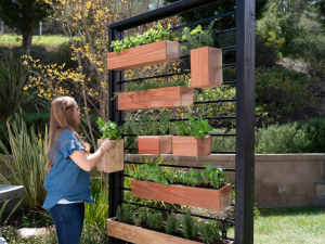 Rustic Farmhouse Gardening Trends You Need to Embrace 2025