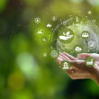 Green Cell Foam Market: Growth Drivers and Future Outlook