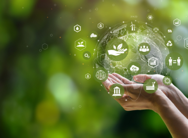 Green Cell Foam Market: Growth Drivers and Future Outlook