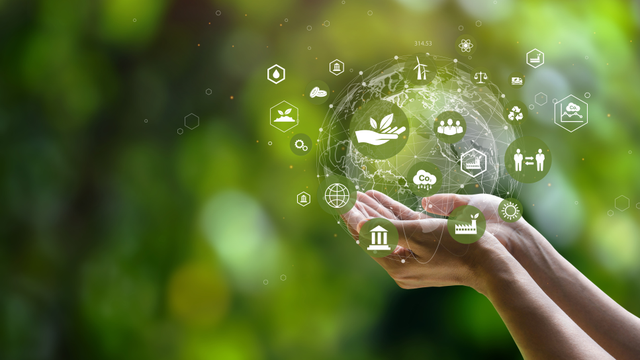 Green Cell Foam Market: Growth Drivers and Future Outlook