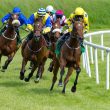 Racing Betting