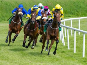 Racing Betting
