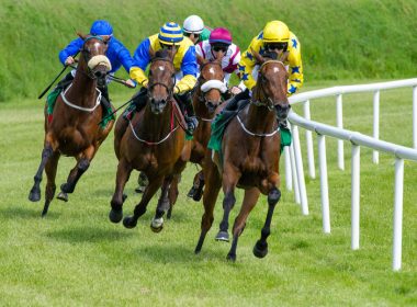 Racing Betting