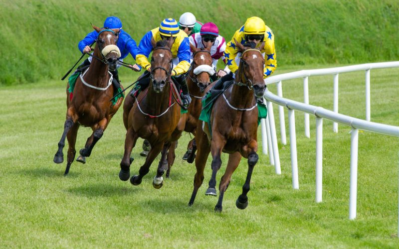 Racing Betting