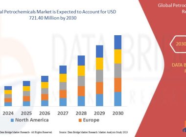 Petrochemicals Market