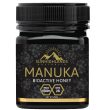 manuka honey vs regular honey